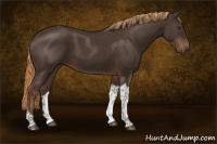 Horse Color:Liver Chestnut Tobiano 