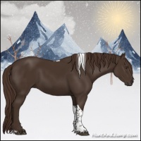 Horse Color:Liver Chestnut Tobiano