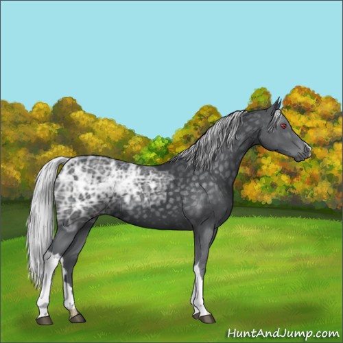 Horse Color:Silver Black Chinchilla Ice 