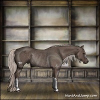 Horse Color:Silver Black Rabicano