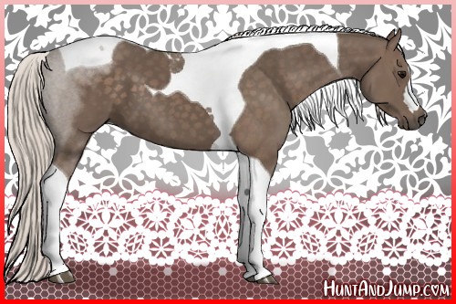Horse Color:Silver Black Tobiano