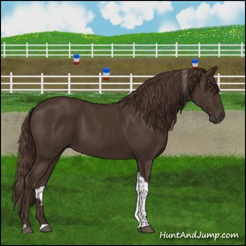 Horse Color:Liver Chestnut Tobiano 
