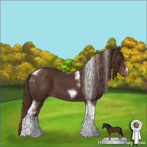 Horse Color:Liver Chestnut Tobiano Frame 