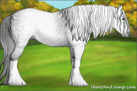 Horse Color:Gray Black 