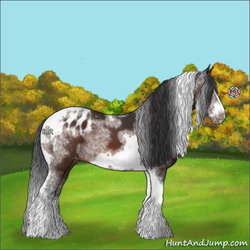 Horse Color:Bay Sabino Tobiano Frame Blanket