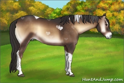 Horse Color:Liver Red Onyx Tobiano 