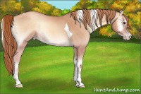 Horse Color:Gold Champagne Onyx Tobiano 