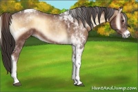 Horse Color:Liver Red Onyx Sabino Tobiano 