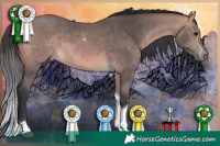 Horse Color:Platinum Bay Tobiano 