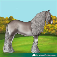 Horse Color:Platinum Chocolate Silver Smoky Blue Onyx 