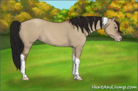 Horse Color:Gray Classic Champagne Dun Tobiano 