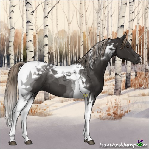 Horse Color:Liver Chestnut Tobiano 