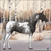 Horse Color:Liver Chestnut Tobiano 