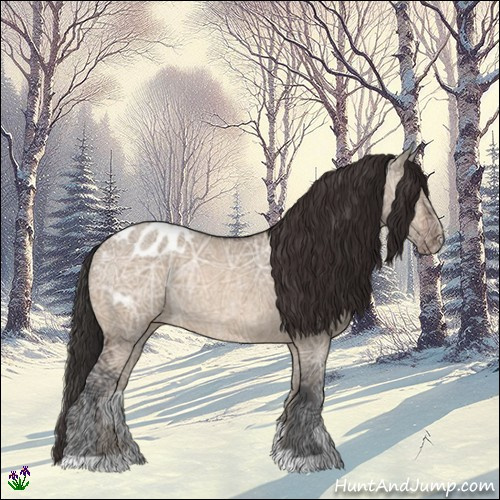 Horse Color:Brown Ice Dun Appaloosa Rabicano 