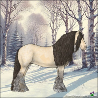 Horse Color:Buckskin Ice Roan Dun 