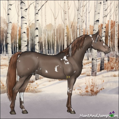 Horse Color:White Spotted Liver Chestnut 