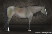 Horse Color:Grullo Sabino 