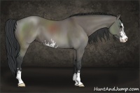 Horse Color:Grullo Sabino 