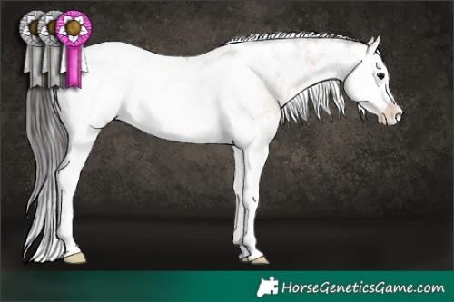 Horse Color:Brown Dun Sabino 