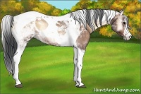 Horse Color:Bay Onyx Tobiano 