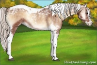 Horse Color:Silver Bay Onyx Splash Tobiano 