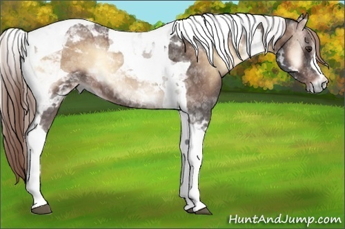 Horse Color:Liver Red Onyx Tobiano 