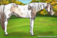 Horse Color:Liver Red Onyx Tobiano 
