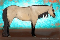 Horse Color:Void White Spotted Buckskin Dun 