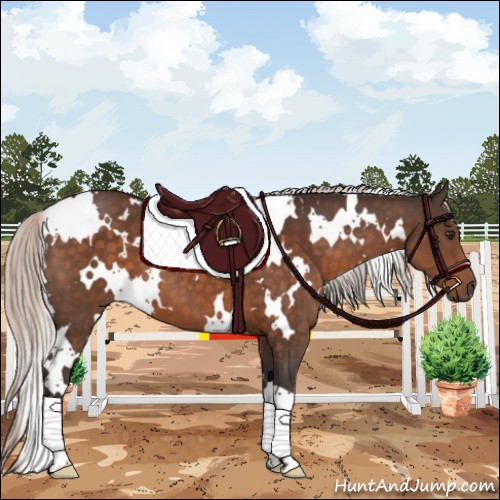Horse Color:White Spotted Silver Brown