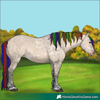 Horse Color:Painted Bay Ice Dun 