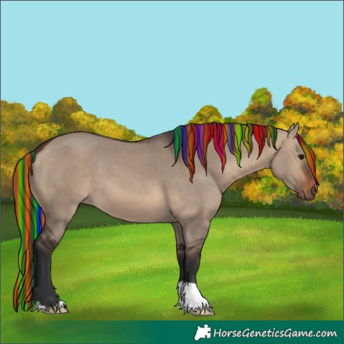 Horse Color:Painted Brown Dun 