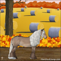 Horse Color:Liver Red Dun Mushroom 