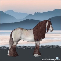 Horse Color:Platinum Chocolate Brown Roan Dun 