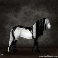 Horse Color:Void Silver Brown Chinchilla Tobiano 