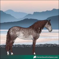 Horse Color:Platinum Chocolate Buckskin 
