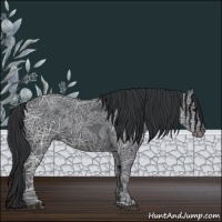 Horse Color:Black Ice 