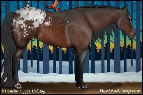 Horse Color:Bay Sabino Appaloosa 