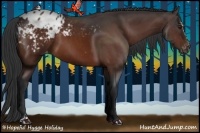 Horse Color:Bay Sabino Appaloosa 