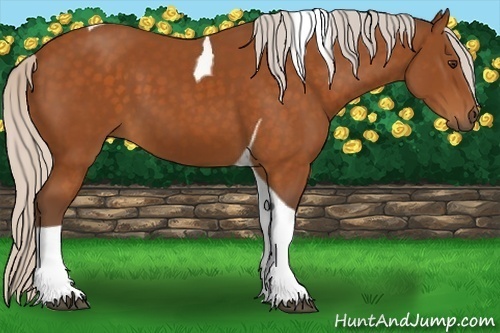 Horse Color:Silver Buckskin Tobiano 