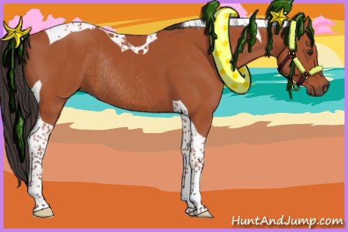 Horse Color:Bay Tobiano Rabicano 