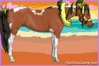 Horse Color:Bay Tobiano Rabicano 