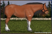 Horse Color:Bay Tobiano Rabicano 