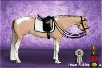 Horse Color:Amber Champagne Tobiano Rabicano 