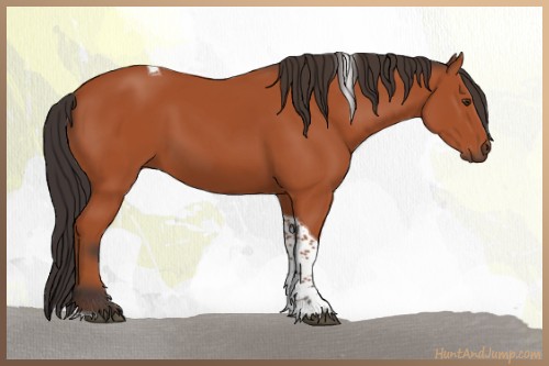 Horse Color:Bay Tobiano Rabicano