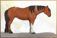 Horse Color:Bay Tobiano Rabicano 