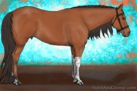 Horse Color:Bay Tobiano Rabicano 
