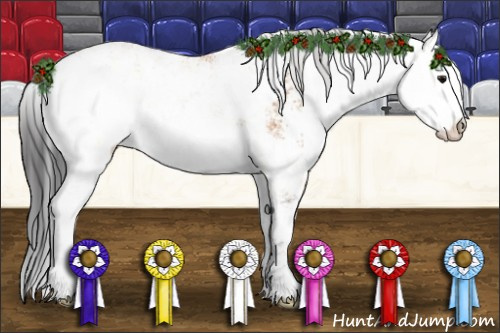 Horse Color:Bay Sabino 