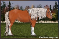 Horse Color:Silver Bay Tobiano Rabicano