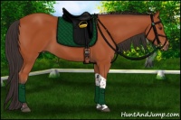 Horse Color:Bay Tobiano Rabicano