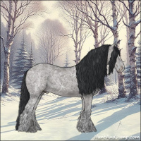 Horse Color:Grullo Ice 